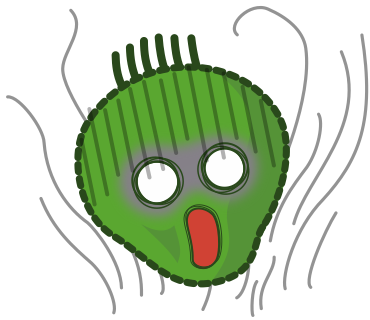 ひょえ～