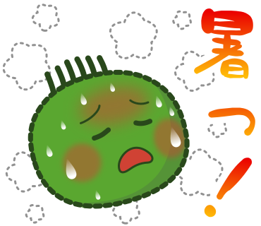 暑っ