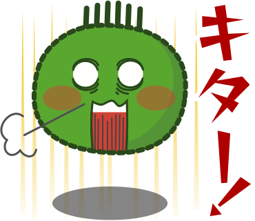 キター！